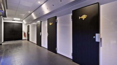 Koelcel-Smeva Koelcel-Smeva